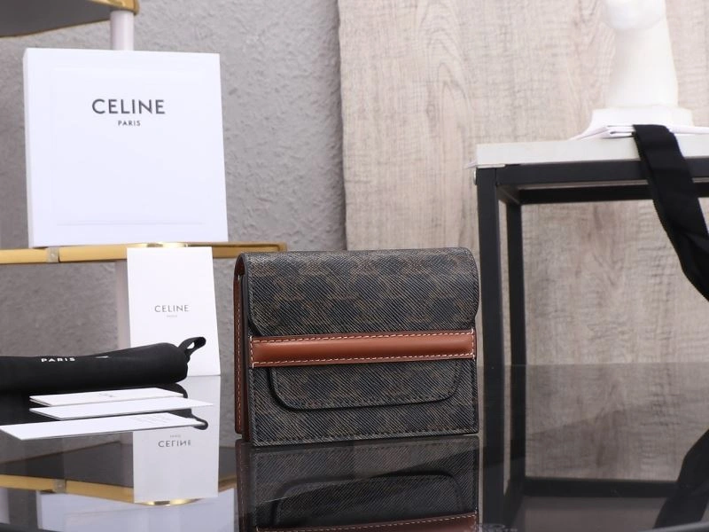 Celine Wallets Purse Affordable 94707