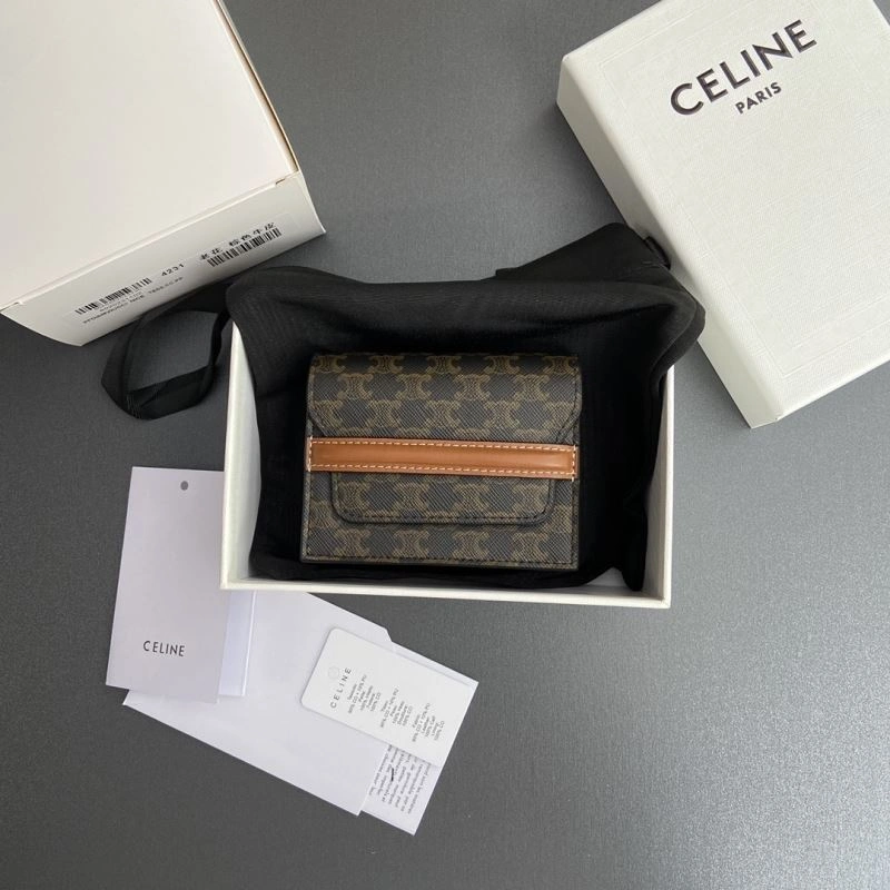 Celine Wallets Purse Stretchable 68501