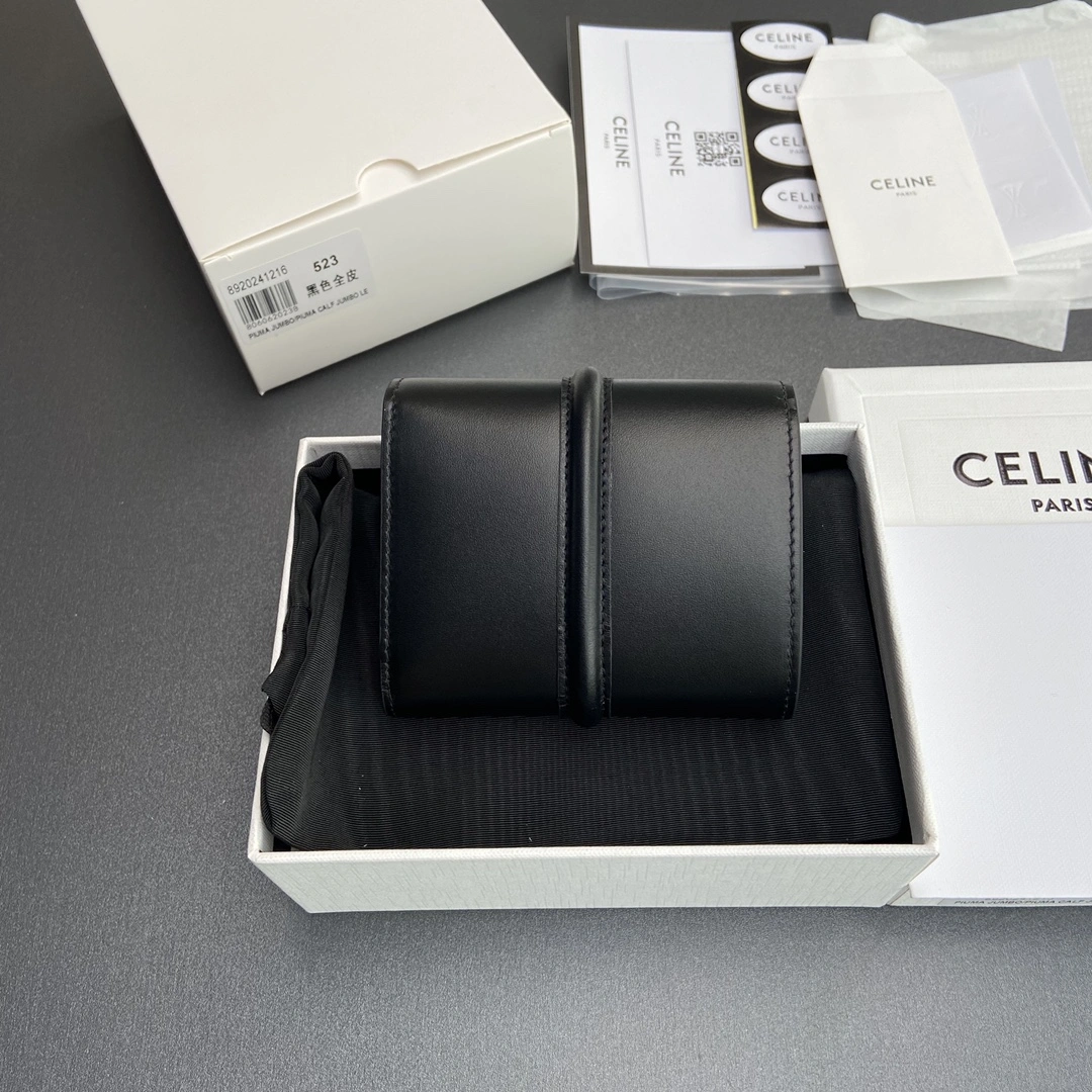 Celine Wallets Purse ZipUp 56734