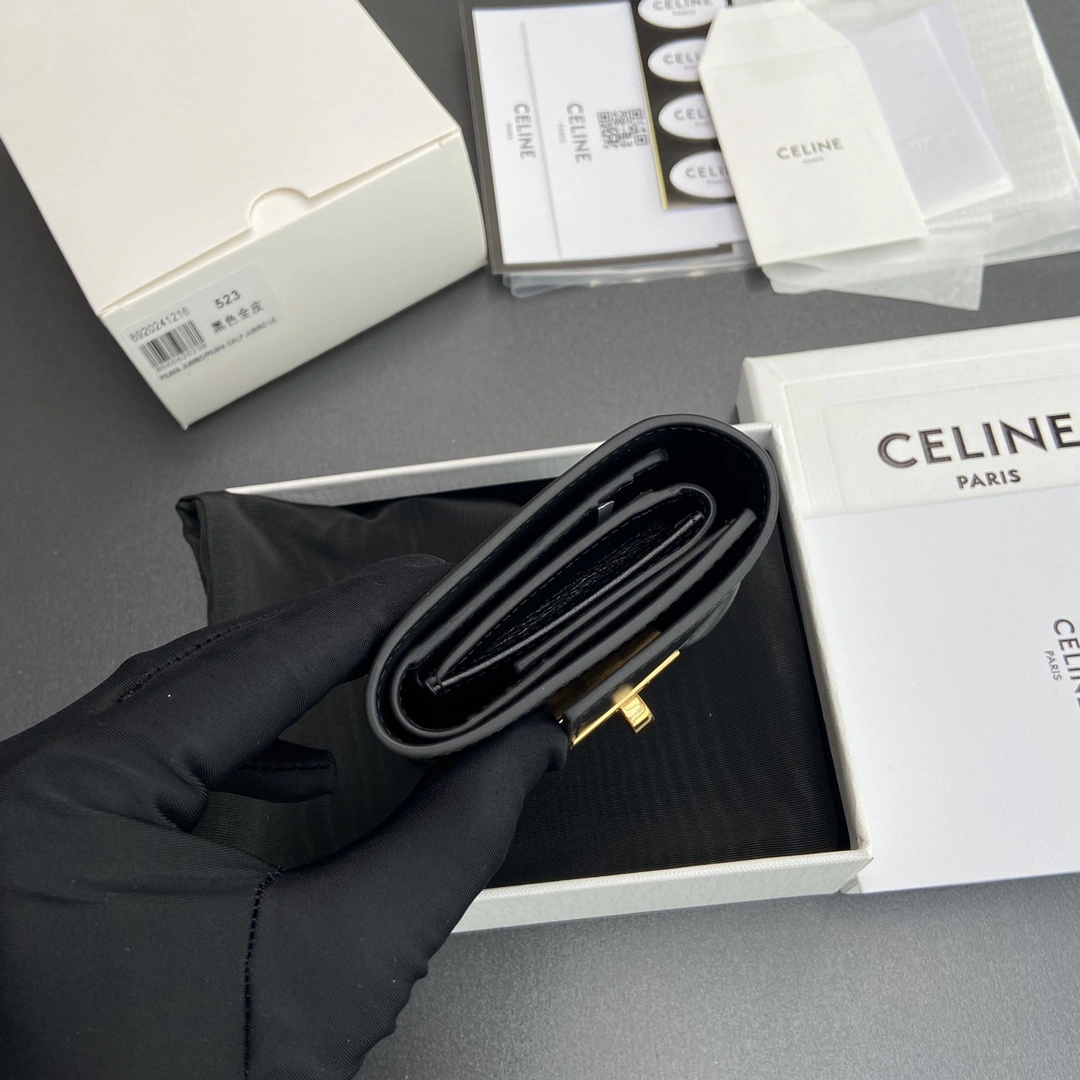 Celine Wallets Purse ZipUp 56734