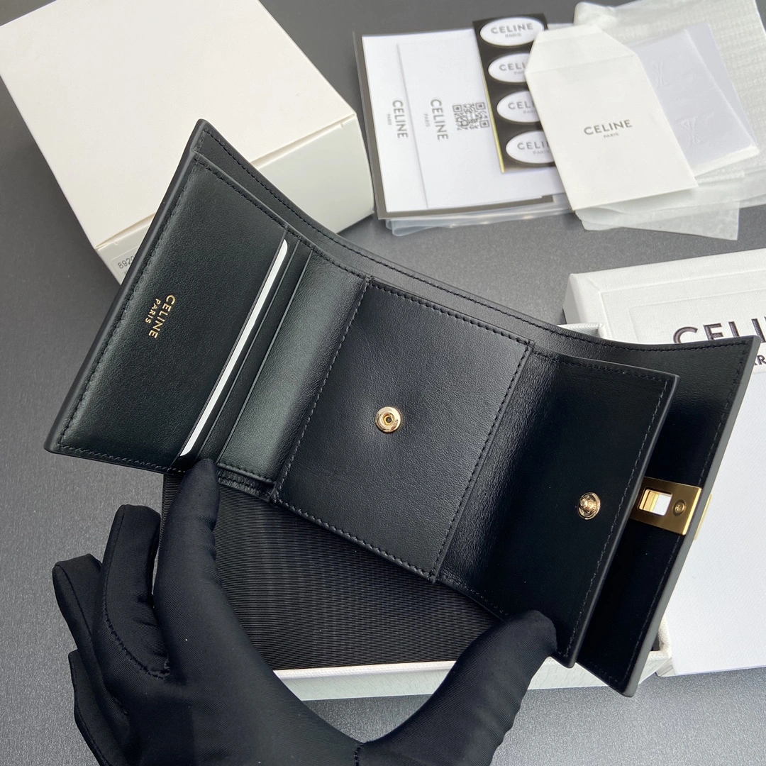 Celine Wallets Purse ZipUp 56734