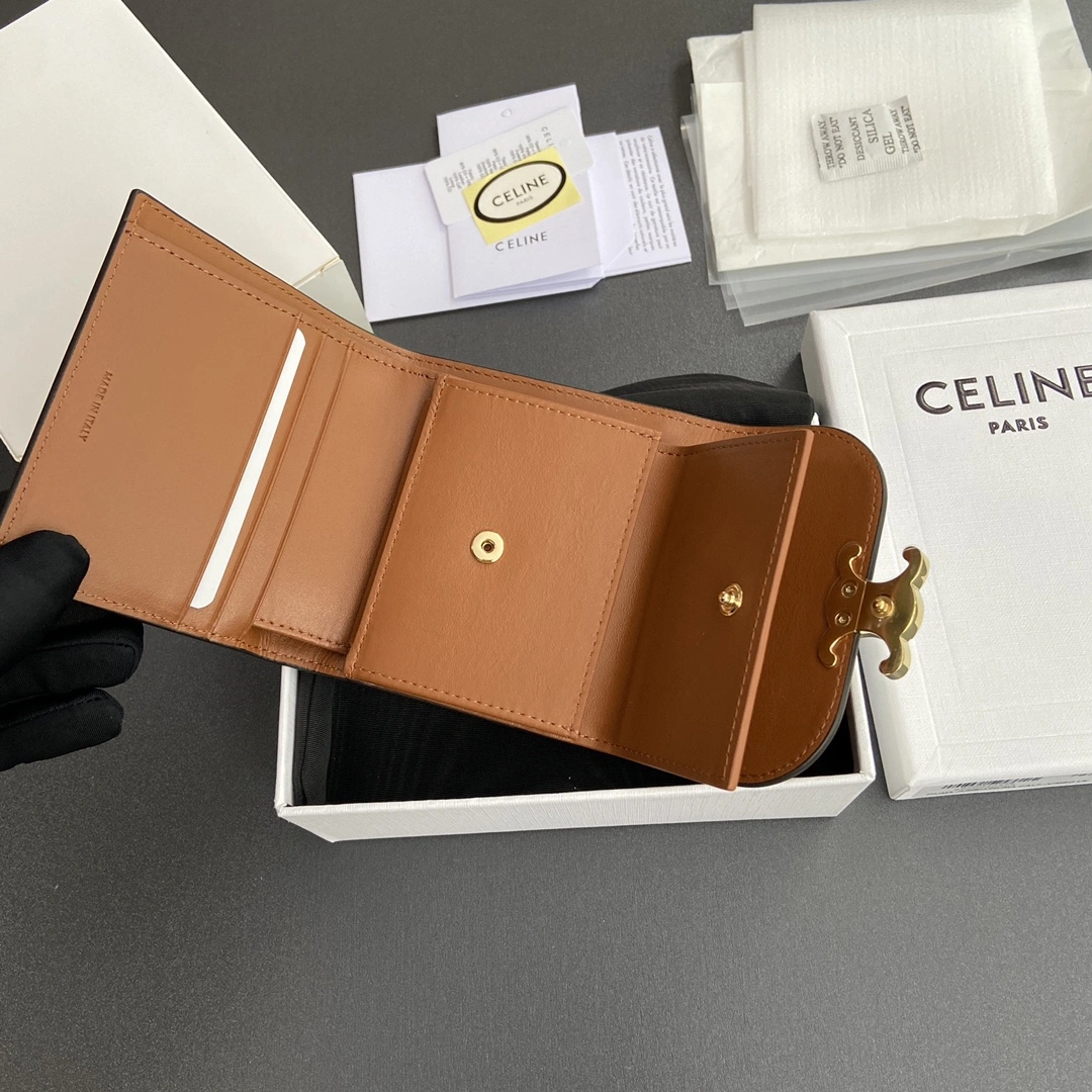 Celine Wallets Purse Snug 56746