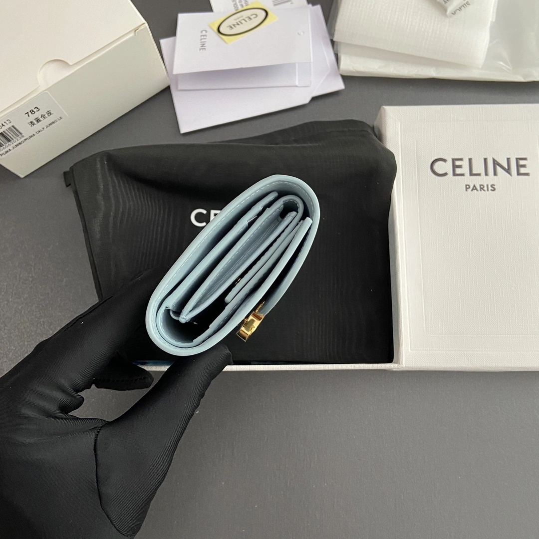 Celine Wallets Purse UrbanChic 56707