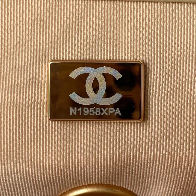 ZeroBulk Chanel 19 Bags 53781