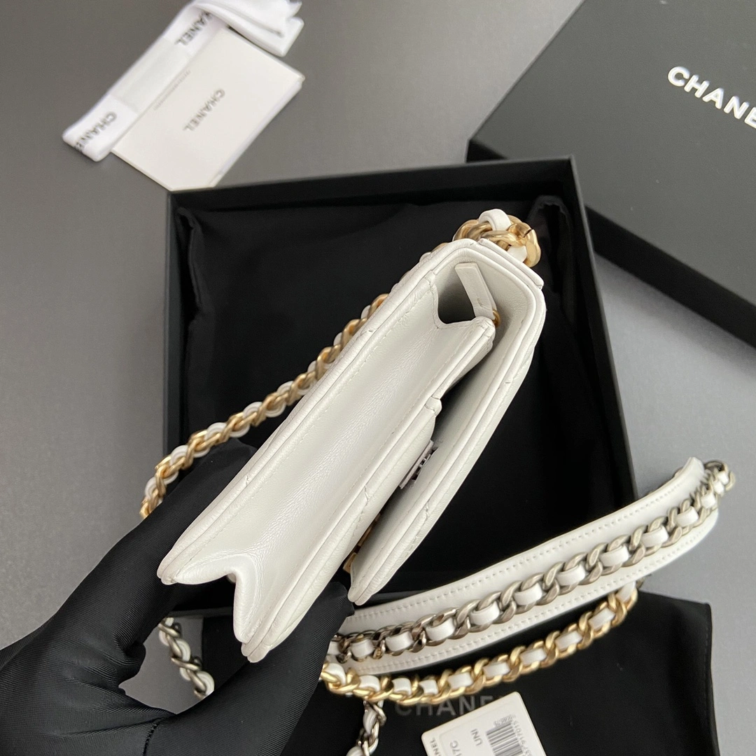 Chanel 19 Bags Modern 56661