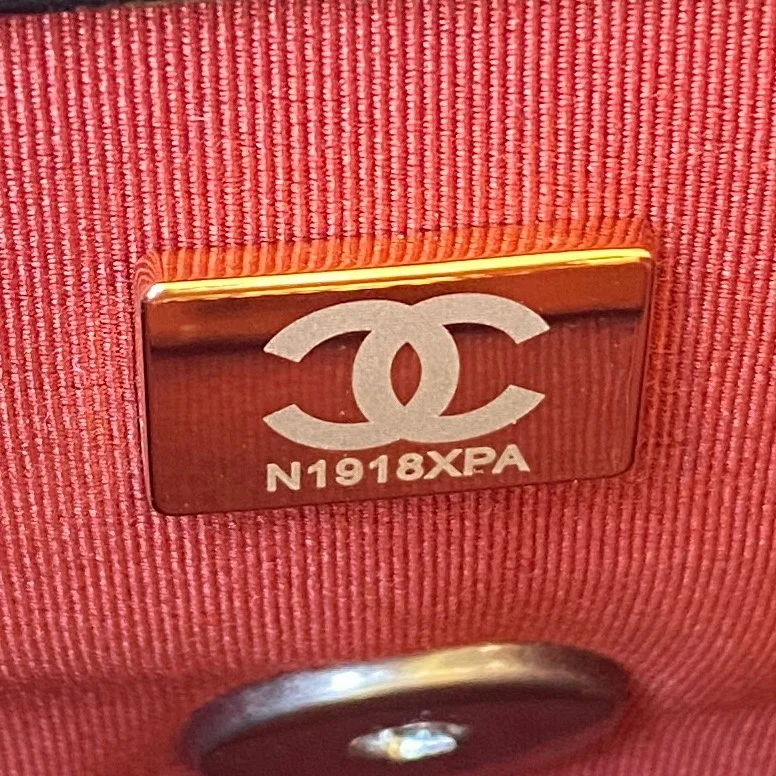 Sustainable Chanel 19 Bags 55574