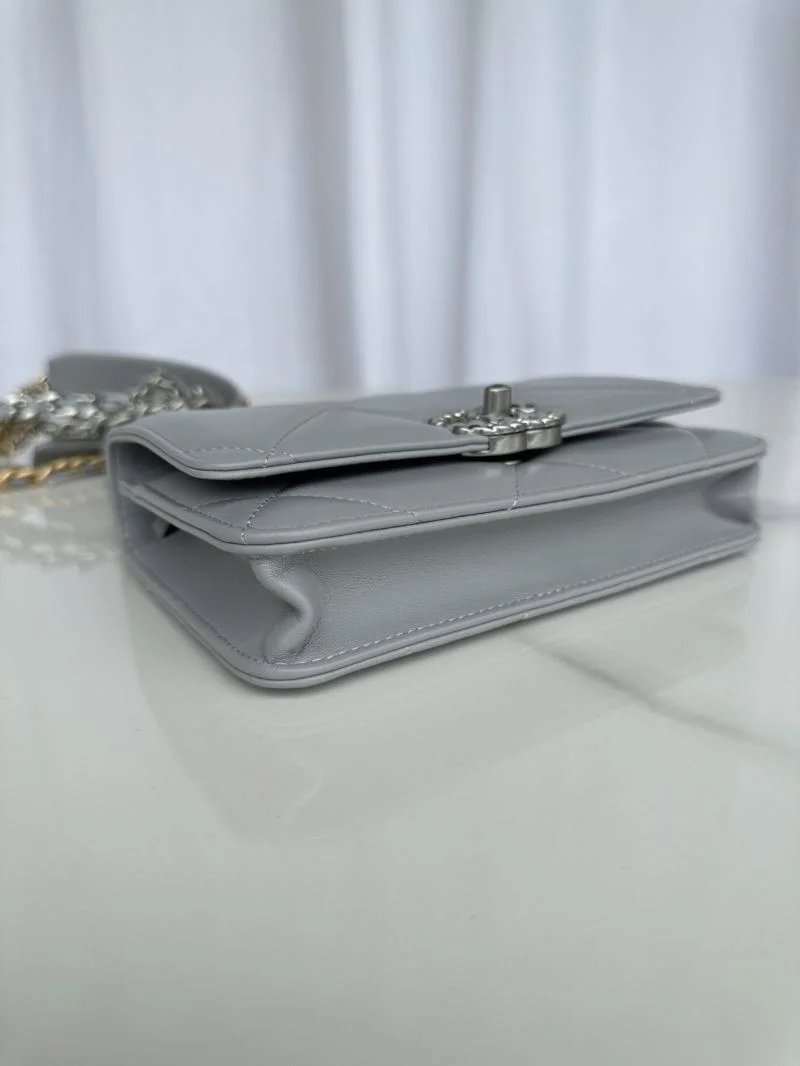 Flexible Chanel 19 Bags 55570