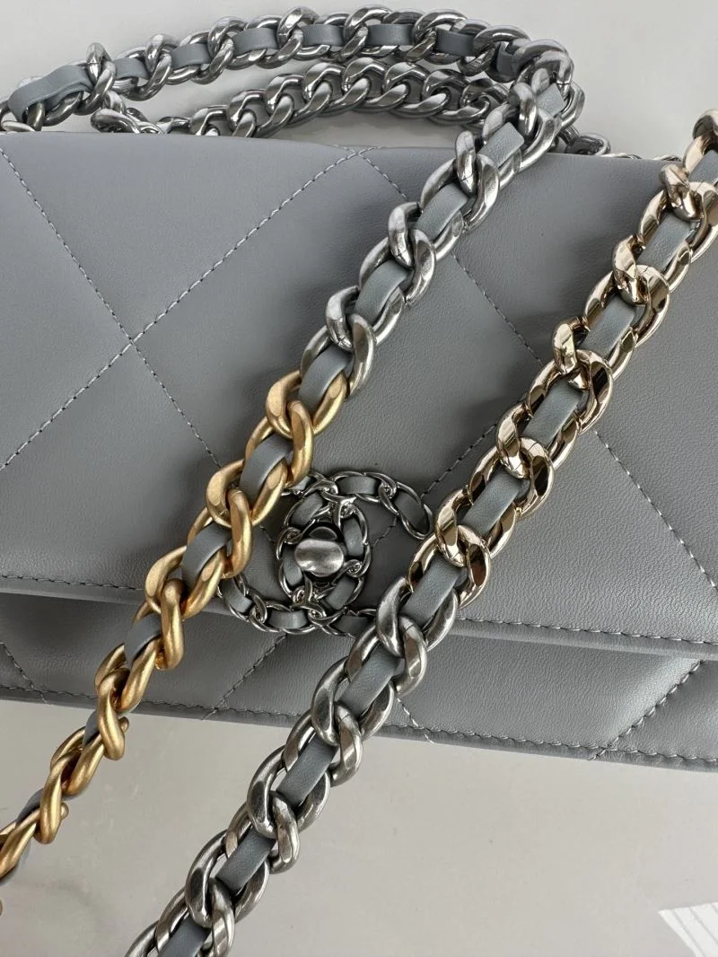 Flexible Chanel 19 Bags 55570