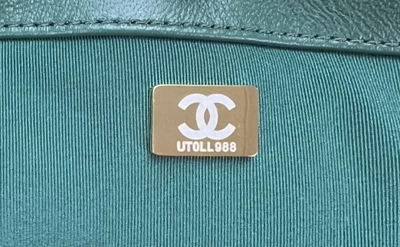 Chanel 19 Bags HighPerformance 55557