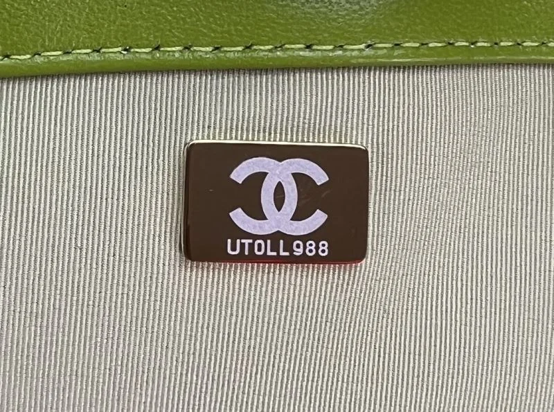 Refined Chanel 19 Bags 55559