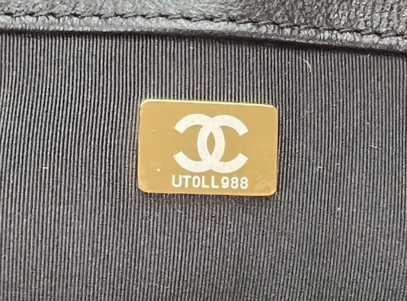 Chanel 19 Bags Bright 55554