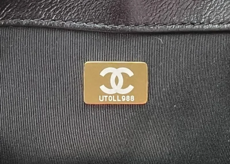 EasyCare Chanel 19 Bags 55545