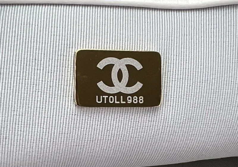 Chanel 19 Bags Minimalist 55579