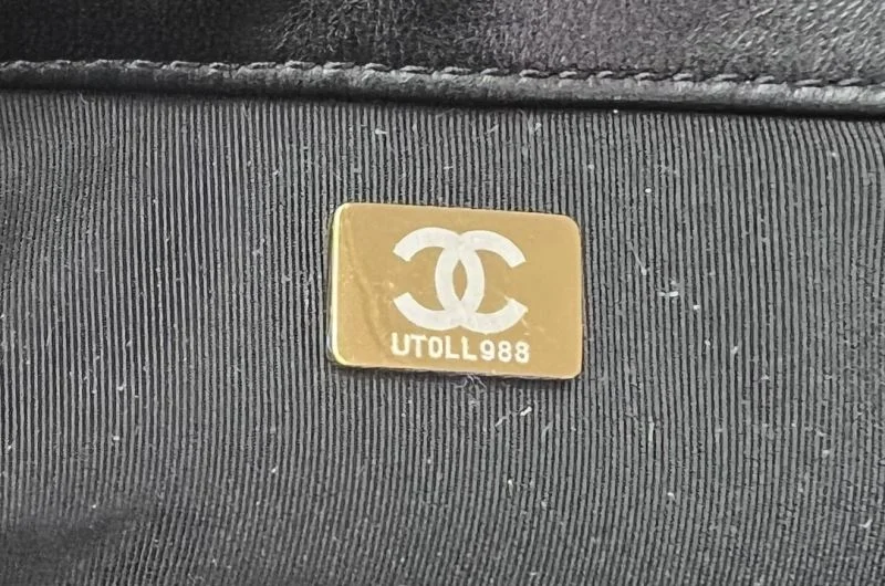 Chanel 19 Bags GoAnywhere 55546