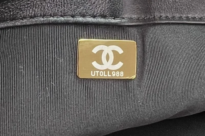 Youthful Chanel 19 Bags 55552