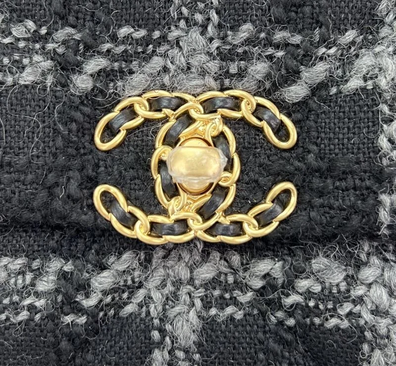 MultiPurpose Chanel 19 Bags 55544