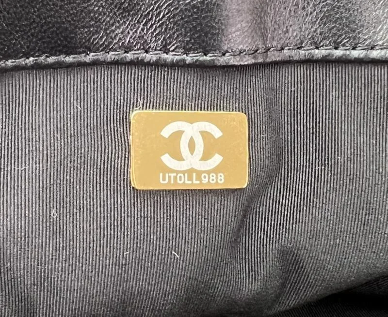 MultiPurpose Chanel 19 Bags 55544