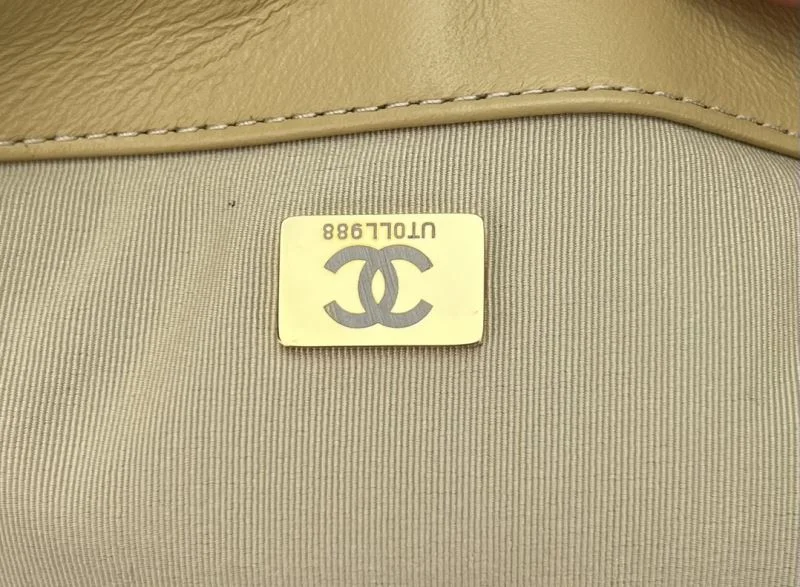 Chanel 19 Bags Classic 55543