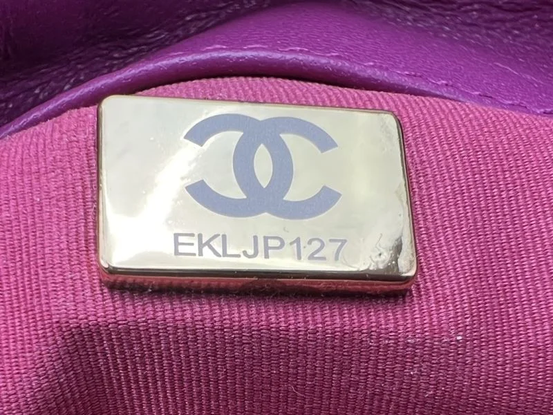 Chanel 19 Bags Unique 55605