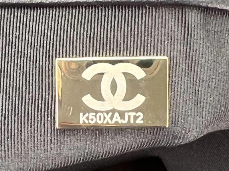 Chanel 19 Bags EasyCare 55517