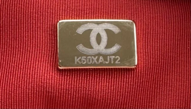 MultiPurpose Chanel 19 Bags 55531