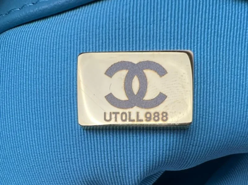Modern Chanel 19 Bags 55534