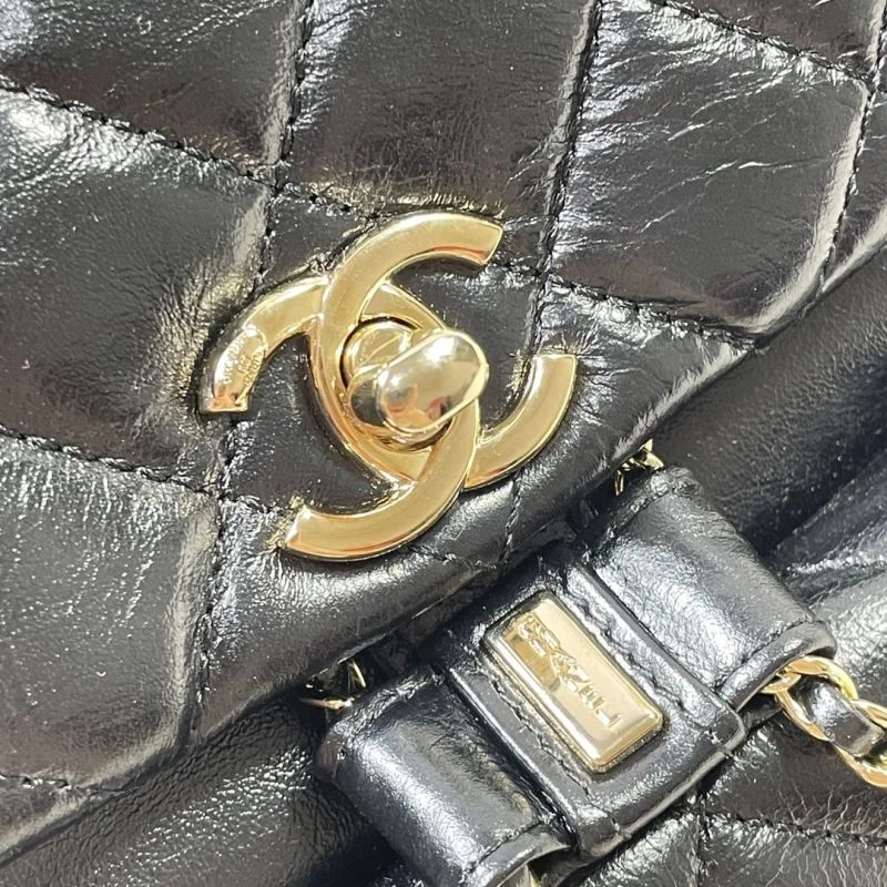 Chanel Backpacks WrinkleFree 54022