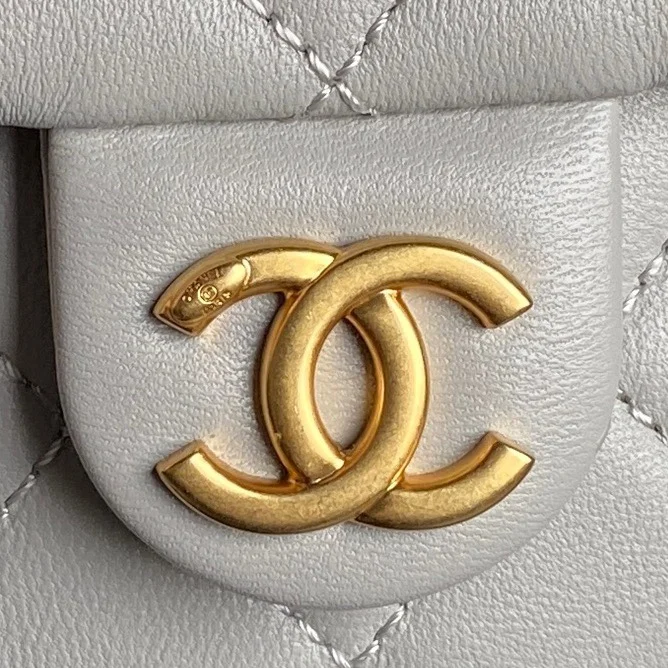 SmoothTexture Chanel Backpacks 53723