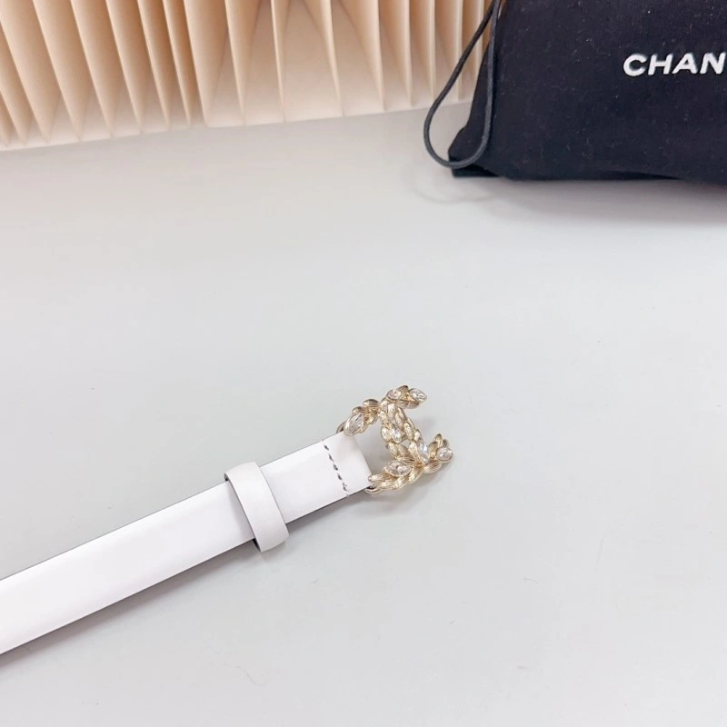 ZipUp Chanel Belts 284146
