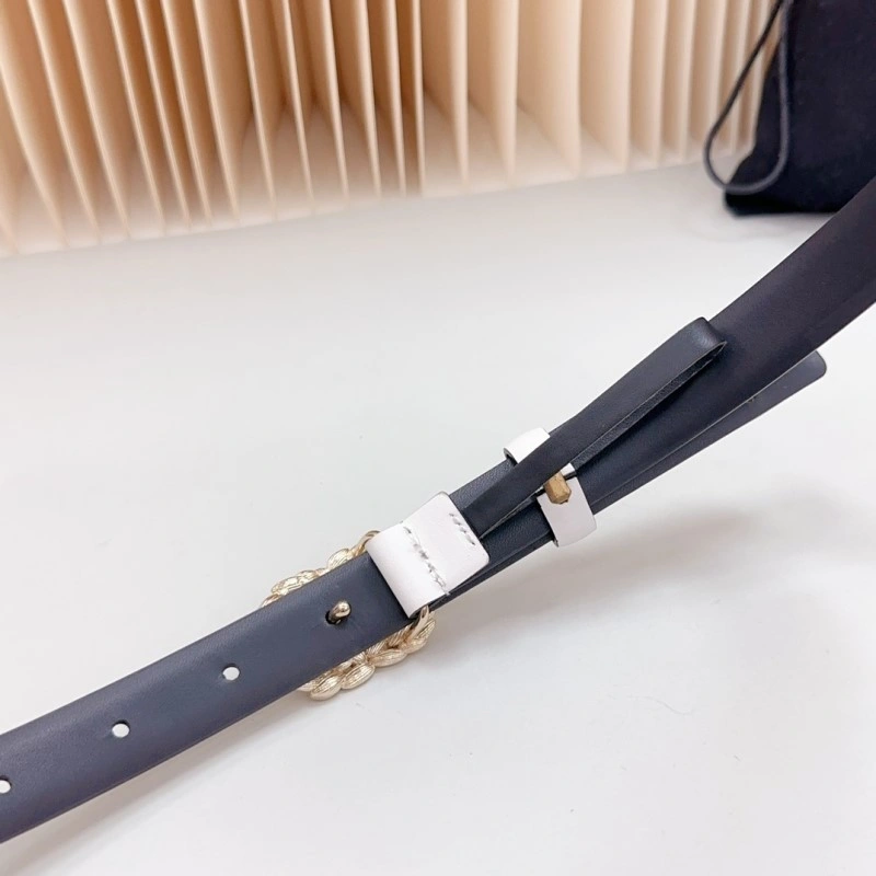 ZipUp Chanel Belts 284146