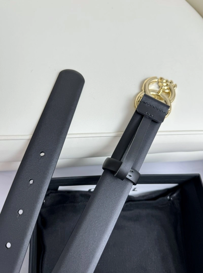 MultiPurpose Chanel Belts 283927