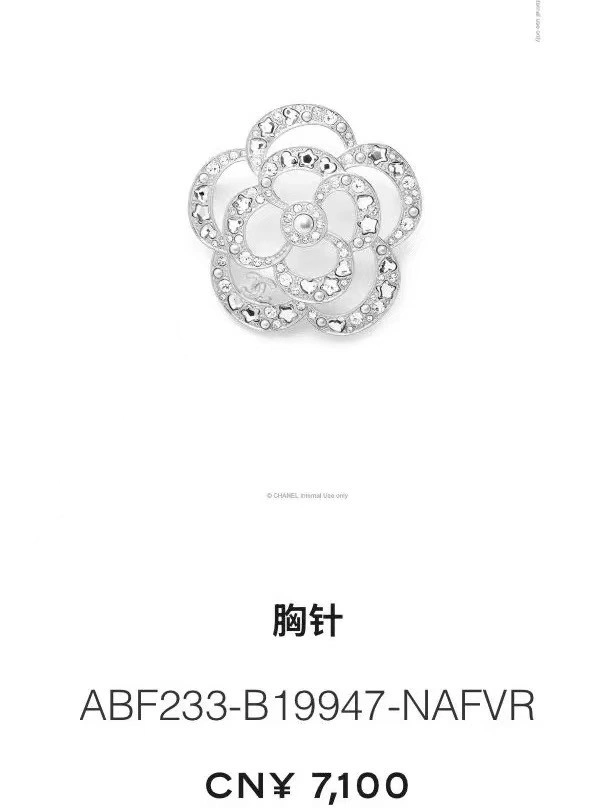 Chanel Brooches Bold 221813