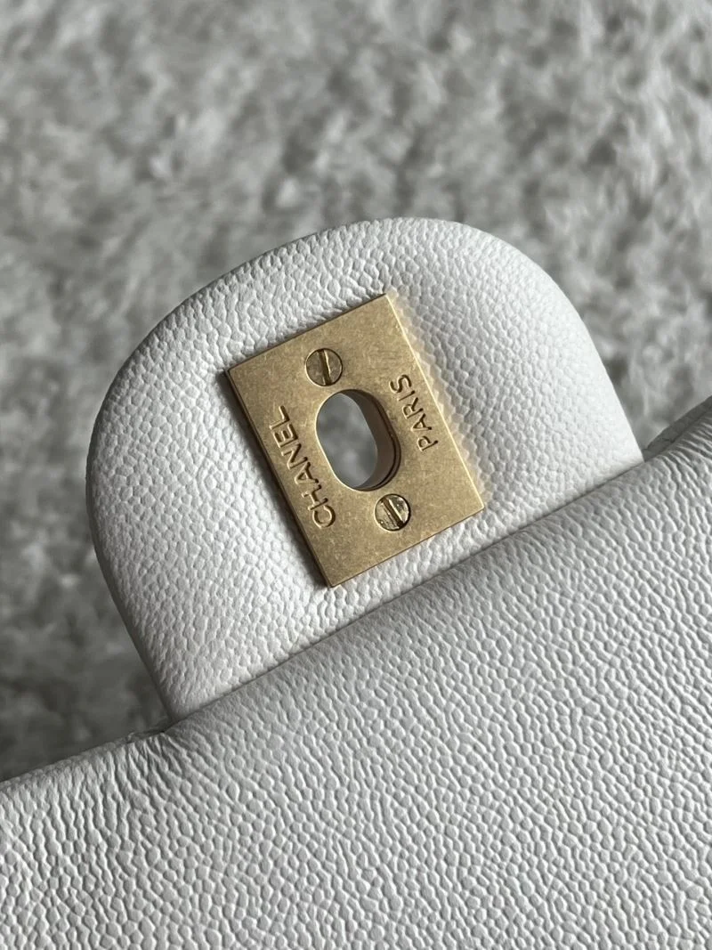 Chanel CF Series Bags GoAnywhere 53463