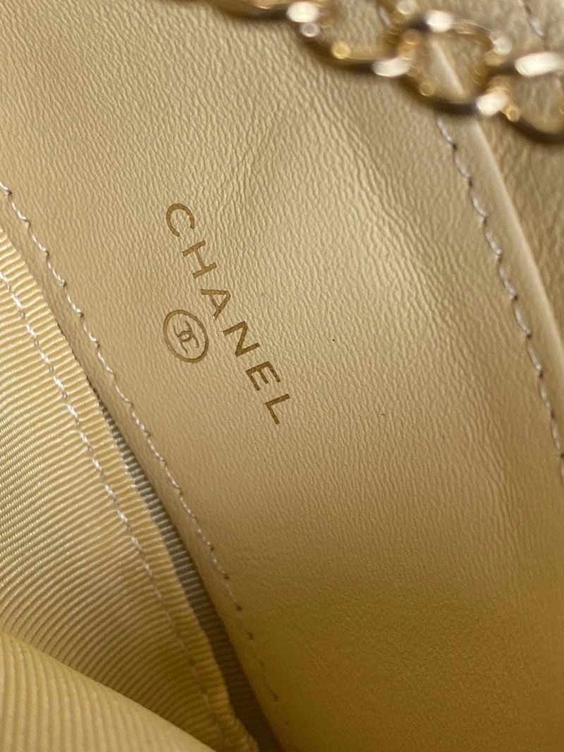 Chic Chanel Clutch Bags 57238