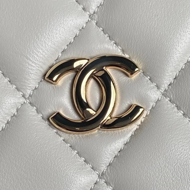 Chanel Cosmetic Bags Affordable 53945