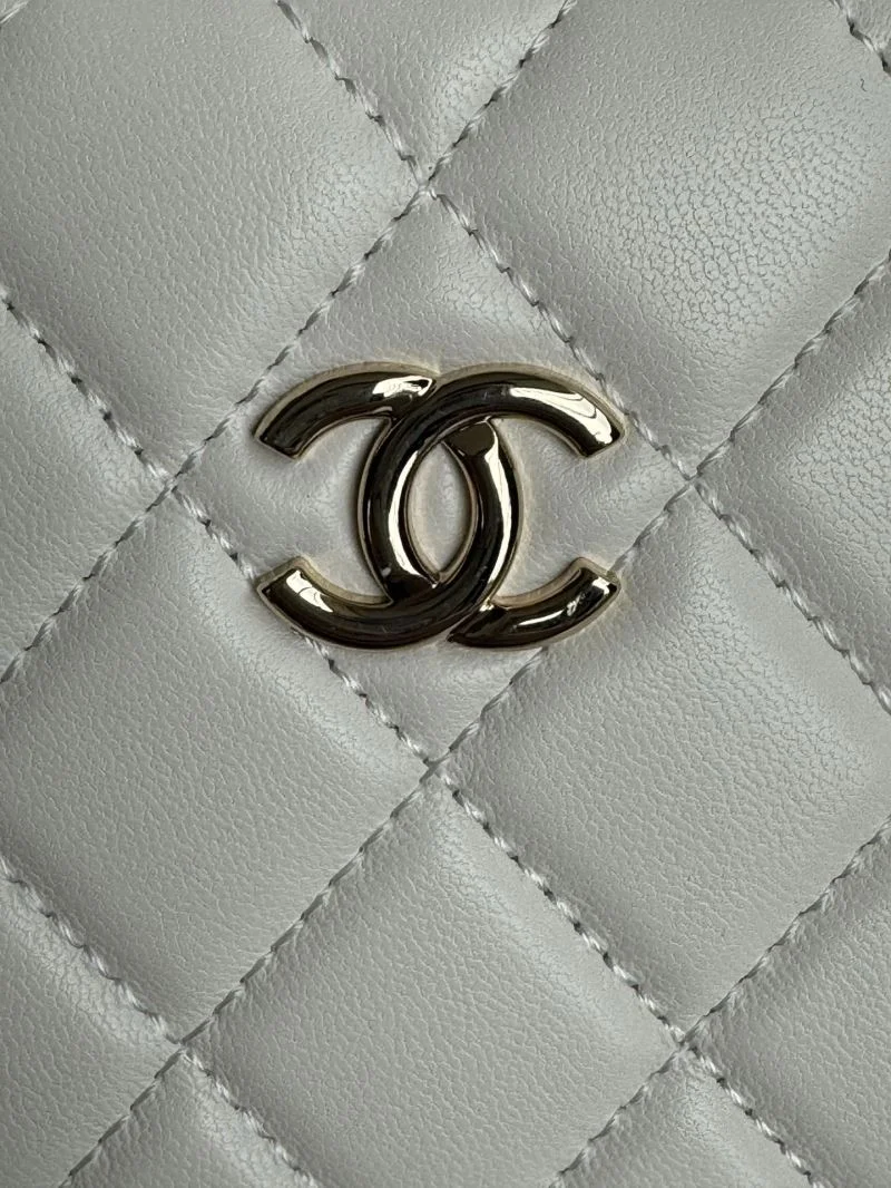 Neat Chanel Cosmetic Bags 55103
