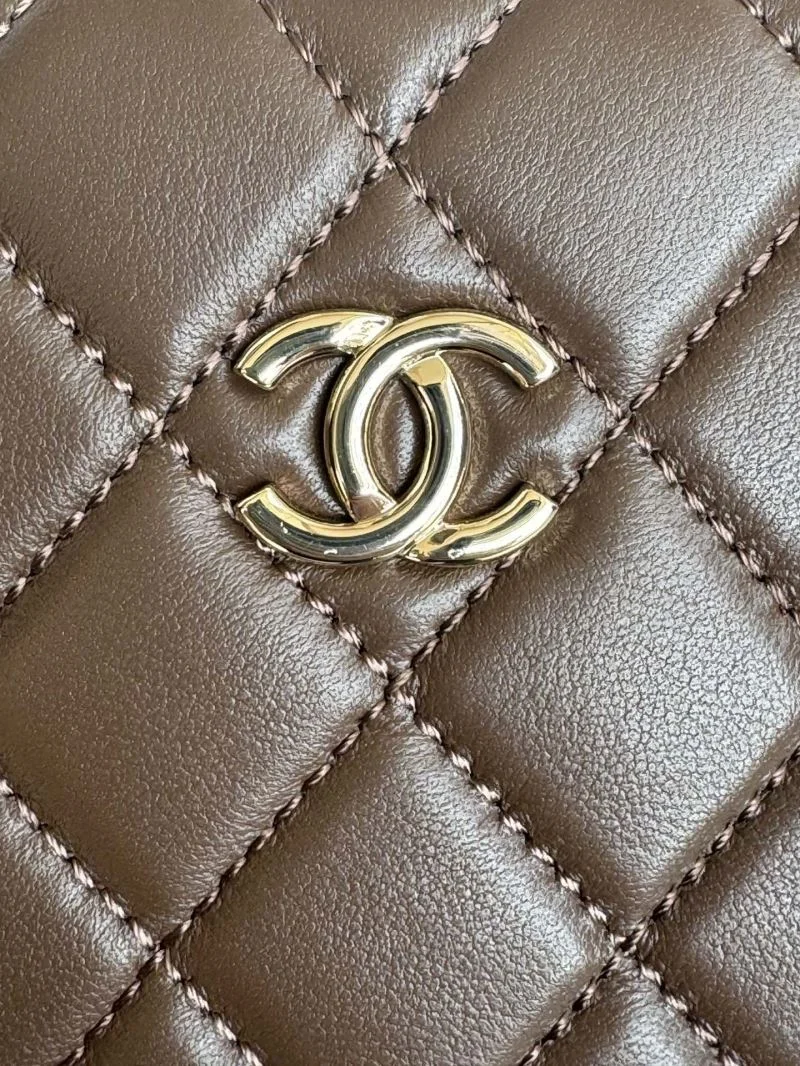 Youthful Chanel Cosmetic Bags 55133
