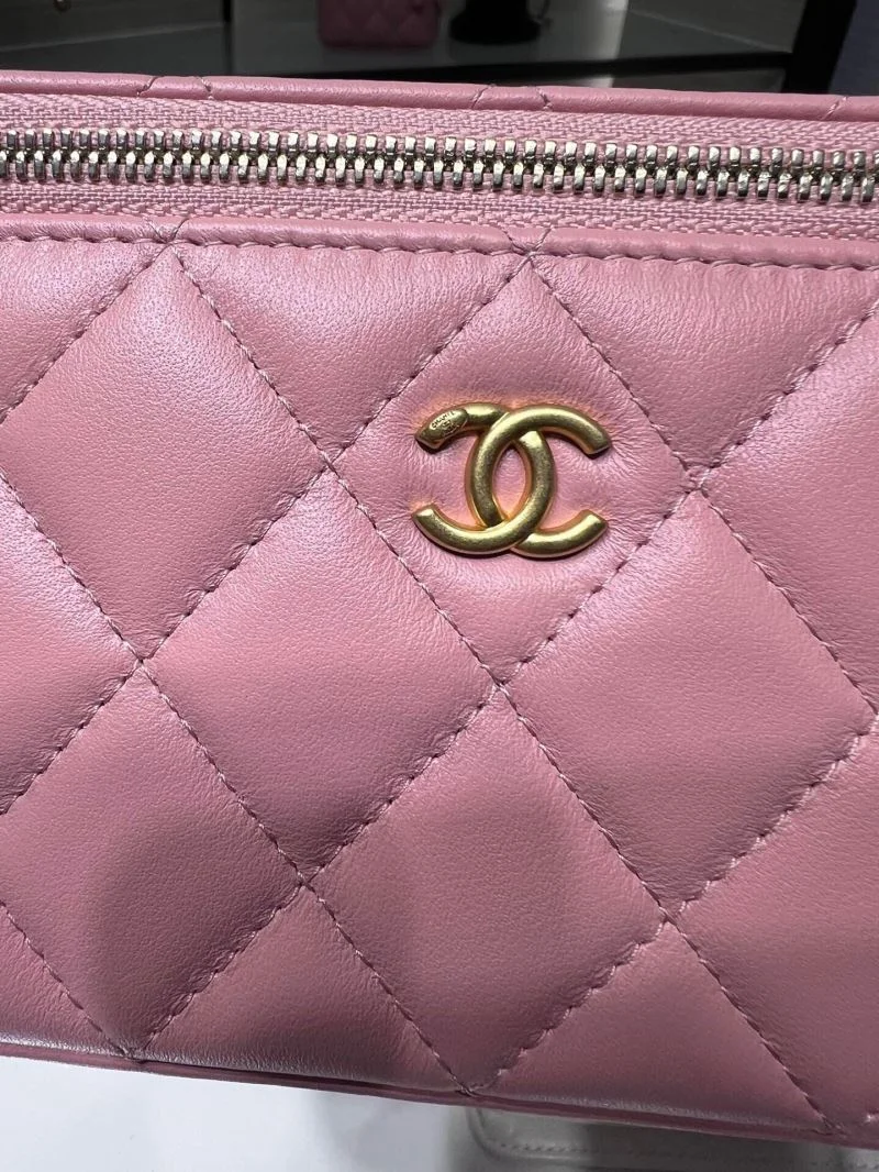 Seasonal Chanel Cosmetic Bags 55033