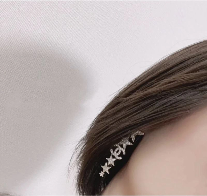 Seasonal Chanel Earrings 231741