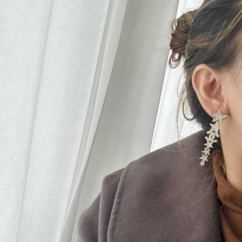 Seasonal Chanel Earrings 231741