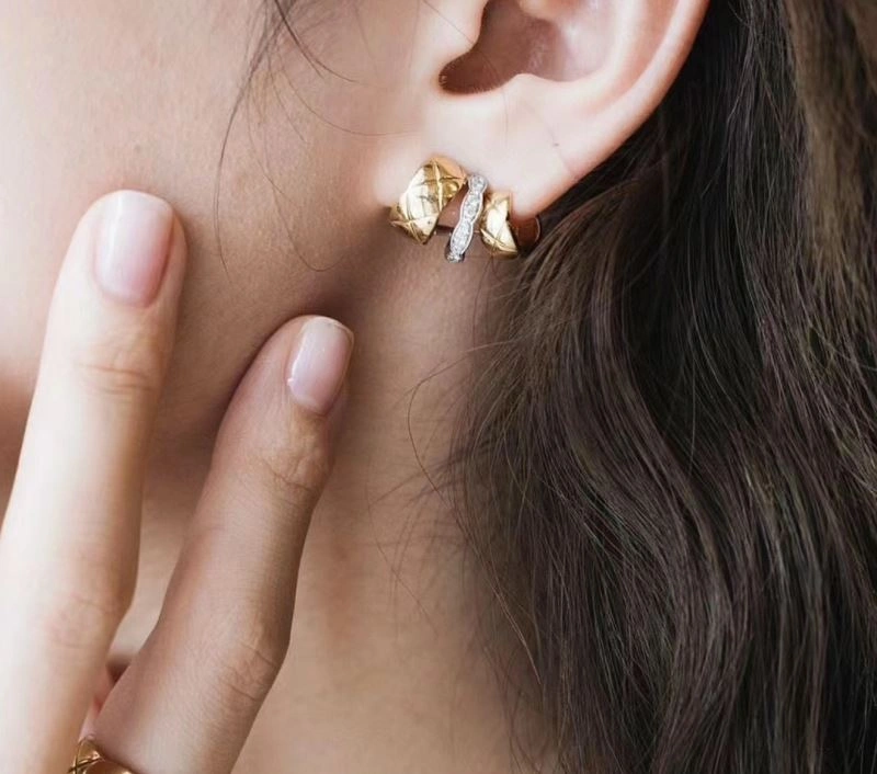 Chanel Earrings Fashionable 230017