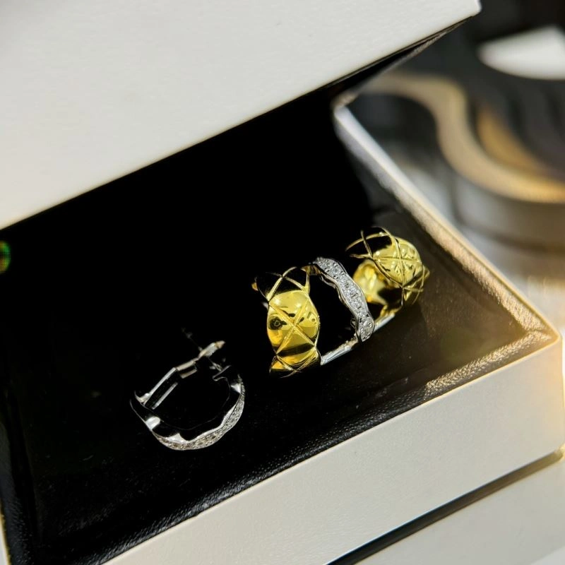 Chanel Earrings Fashionable 230017