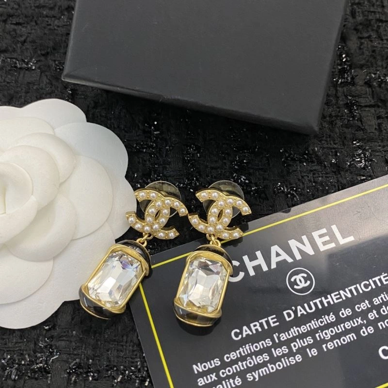 Popular Chanel Earrings 229825