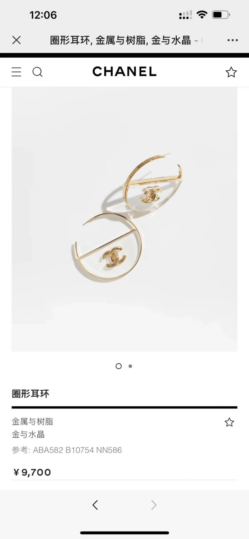 Cozy Chanel Earrings 228986