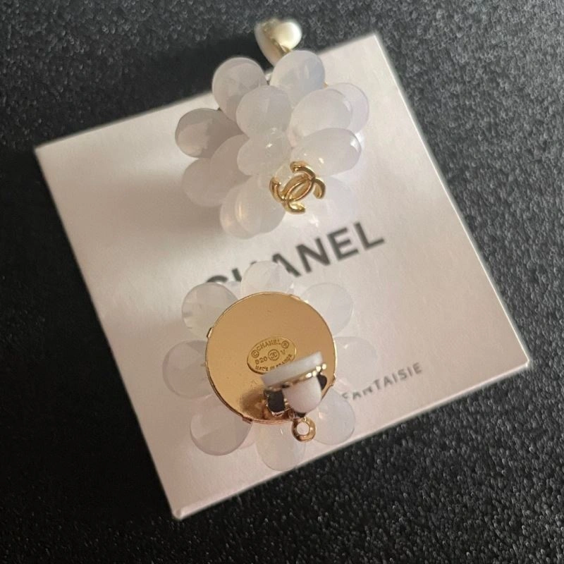 Practical Chanel Earrings 228933