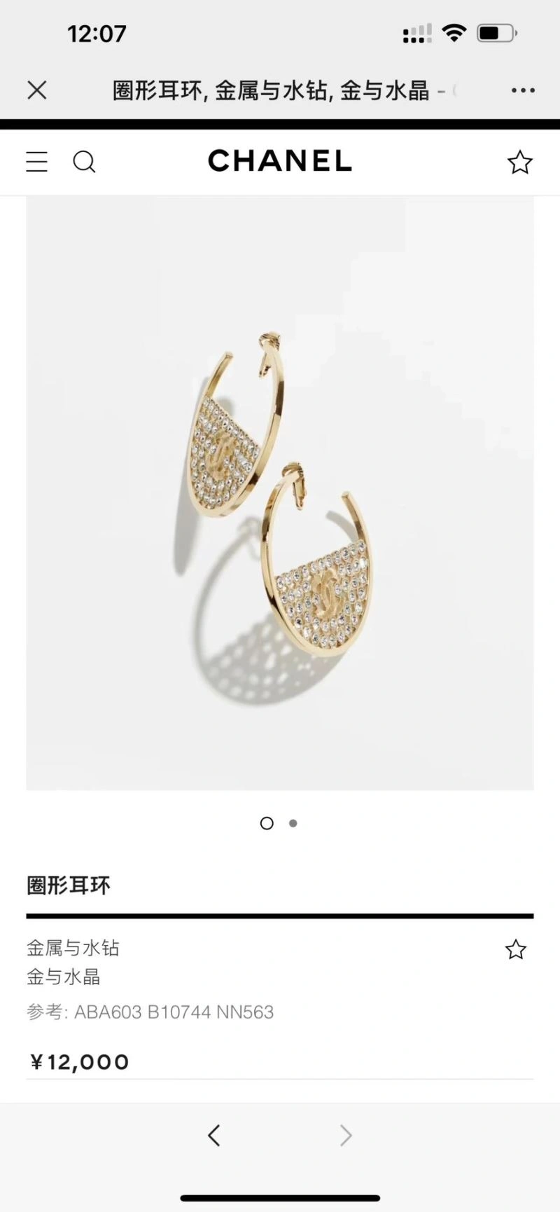 Versatile Chanel Earrings 228061