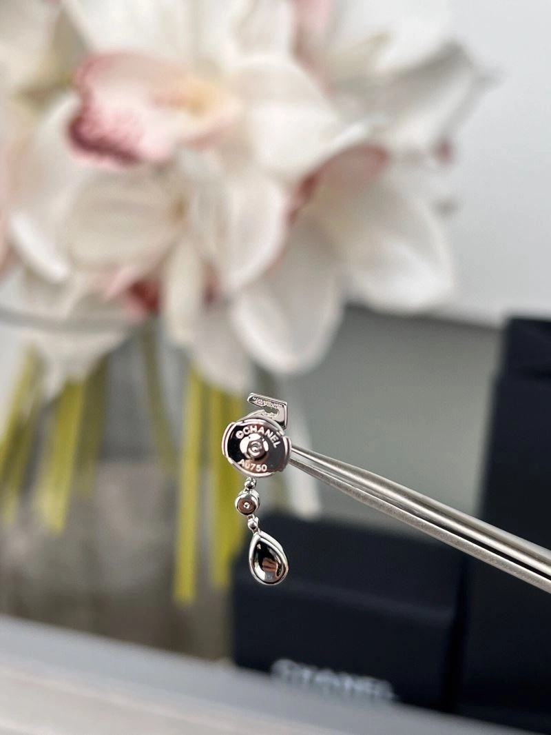 Trendy Chanel Earrings 227879