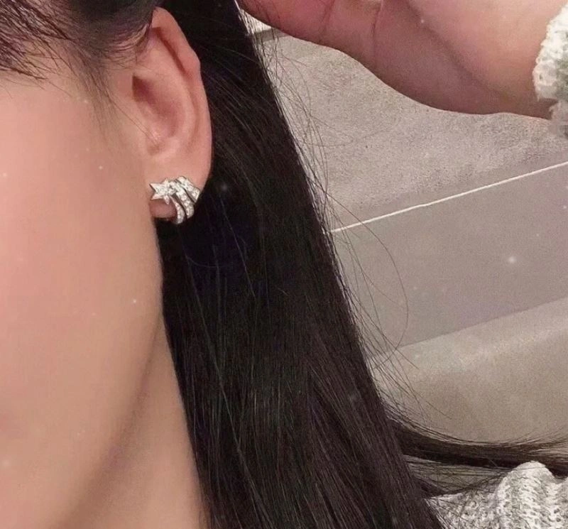 Fashionable Chanel Earrings 227614