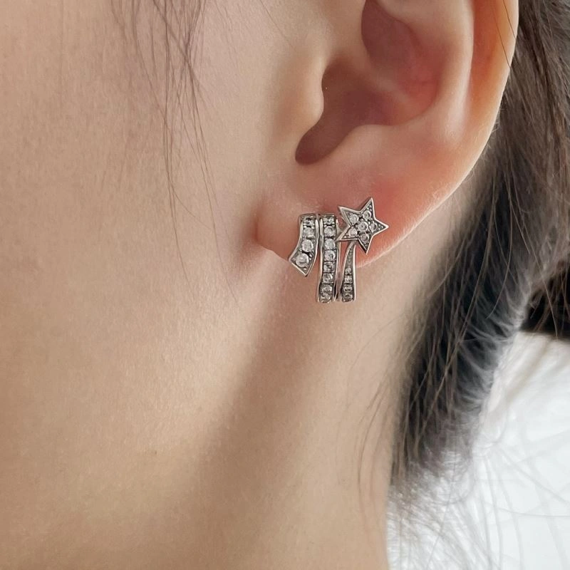 Fashionable Chanel Earrings 227614