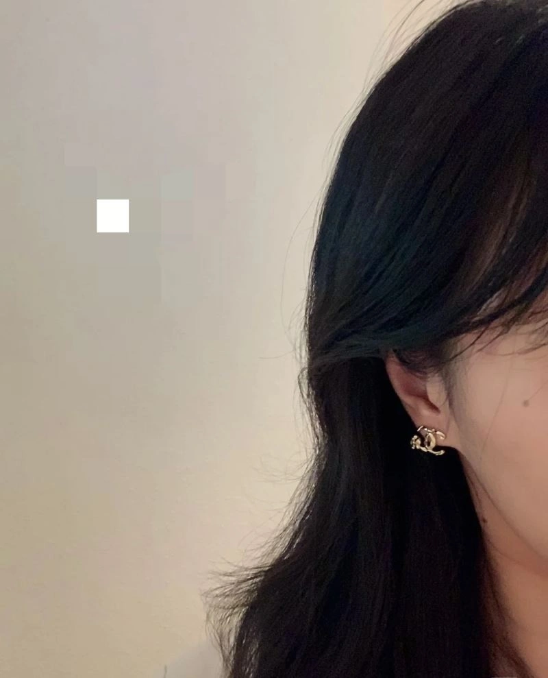 TechFriendly Chanel Earrings 227118
